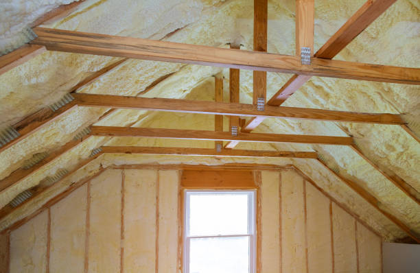 Best Insulation Repair Services  in USA